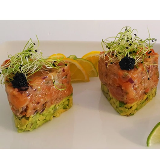 Forpro SALMON in own sauce - 170g