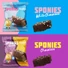 ALASATURE Protein Süti 50 g Chocolate