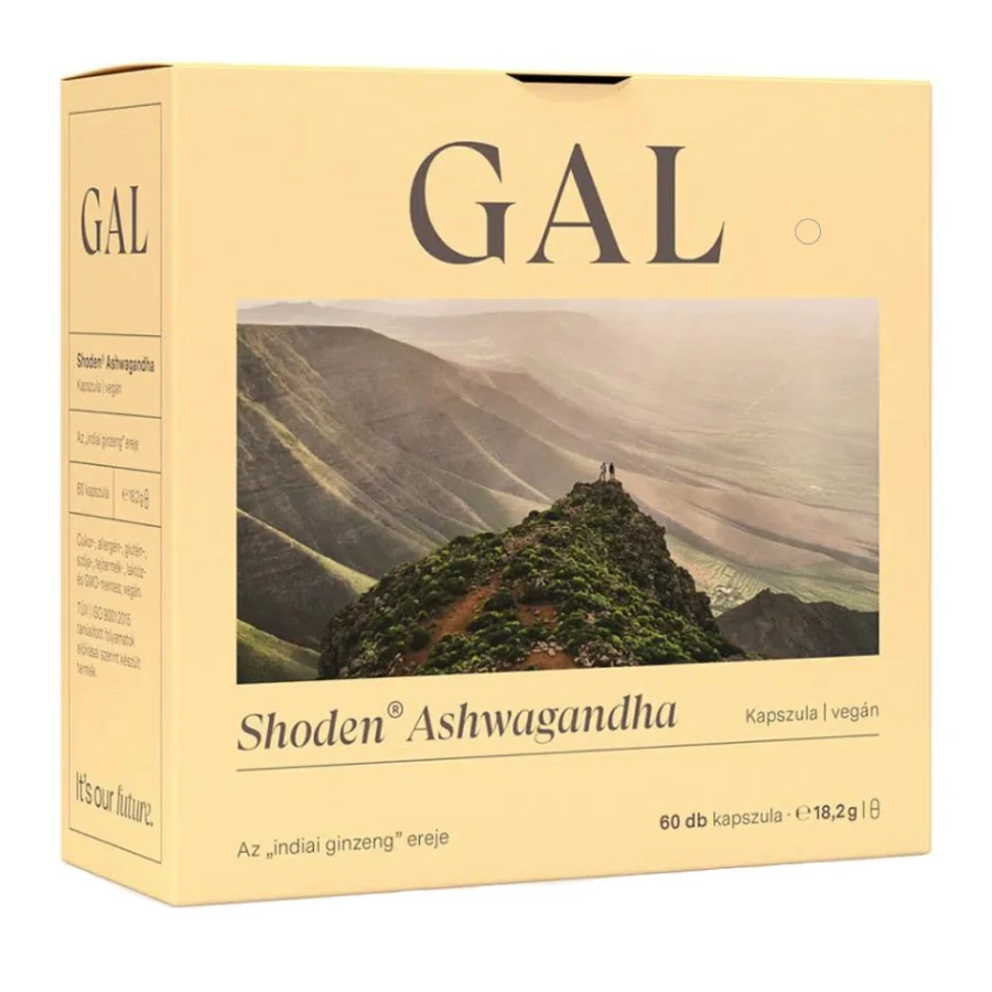 GAL Shoden